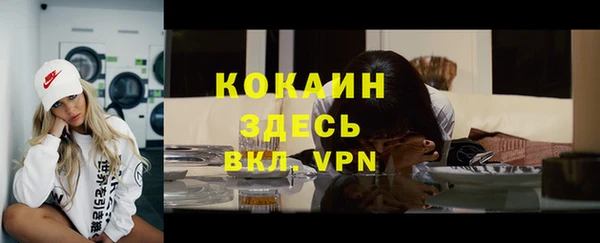 тгк Арсеньев