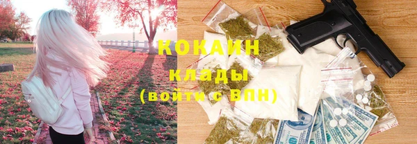тгк Арсеньев