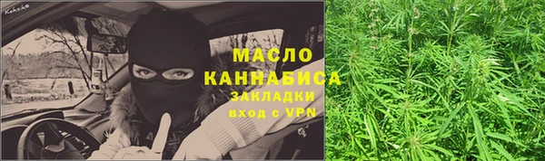 тгк Арсеньев