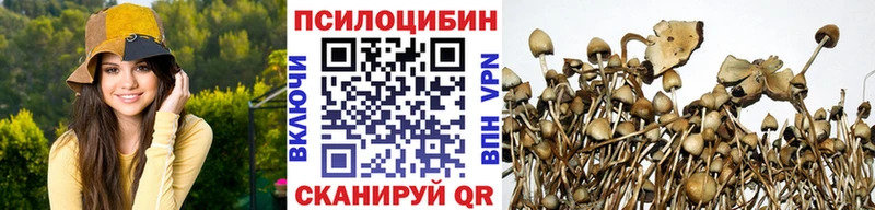 где купить наркоту  Саки  Псилоцибиновые грибы мицелий 
